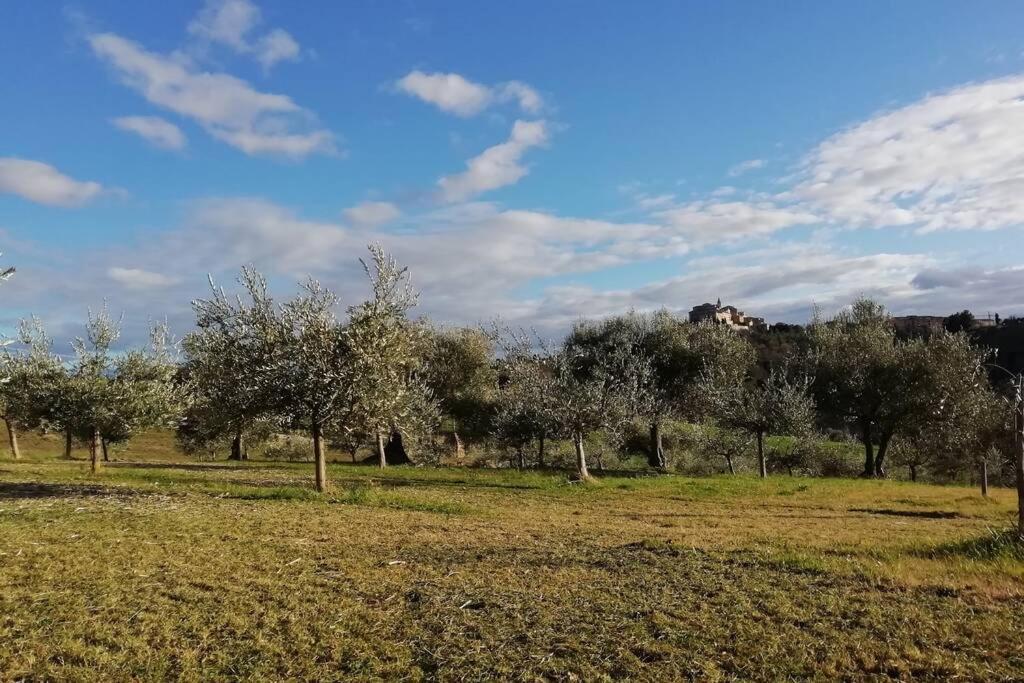 Casa Kikenda, Viaggio Nella Natura Treia Exterior photo