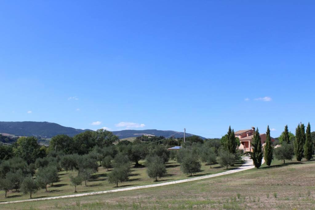 Casa Kikenda, Viaggio Nella Natura Treia Exterior photo