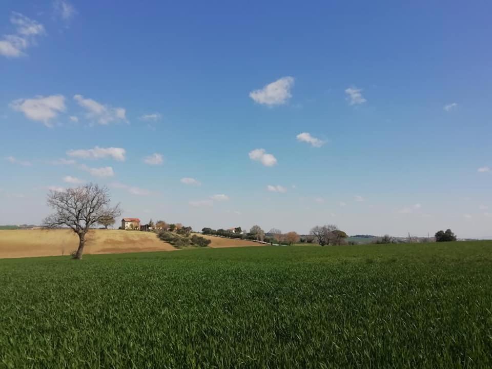 Casa Kikenda, Viaggio Nella Natura Treia Exterior photo