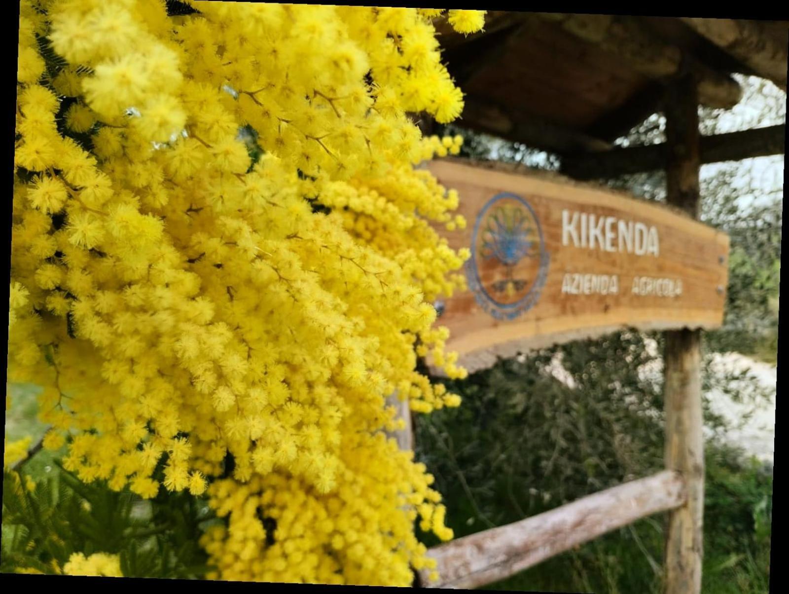 Casa Kikenda, Viaggio Nella Natura Treia Exterior photo