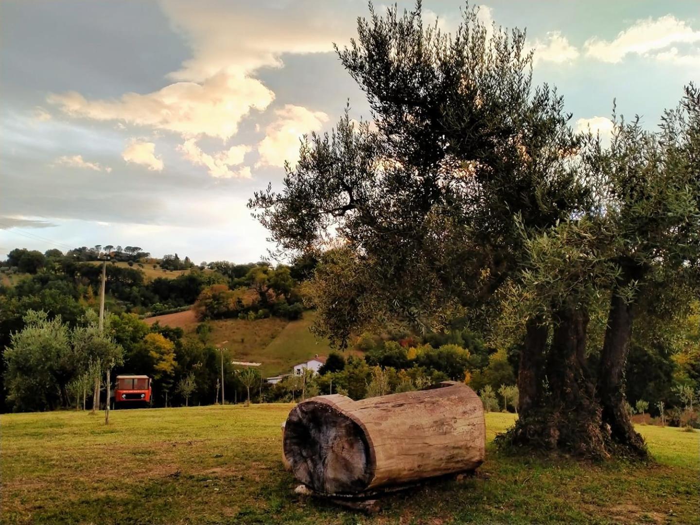 Casa Kikenda, Viaggio Nella Natura Treia Exterior photo